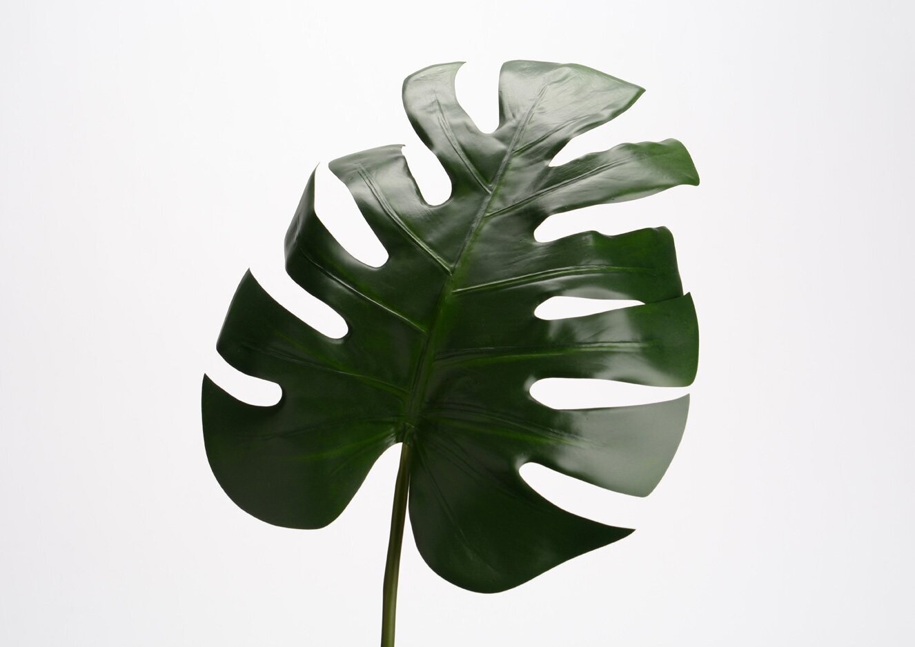 VARA HOJA DE MONSTERA
