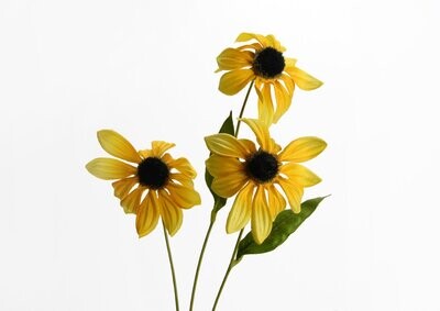 VARA MARGARITA AMARILLA 3 FLORES