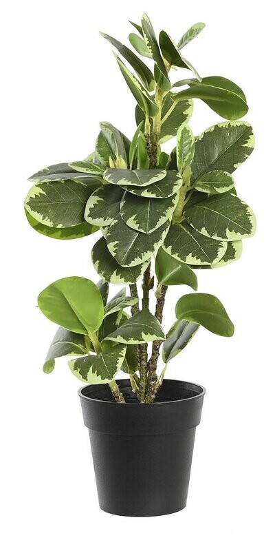 PLANTA FICUS ARTIFICIAL