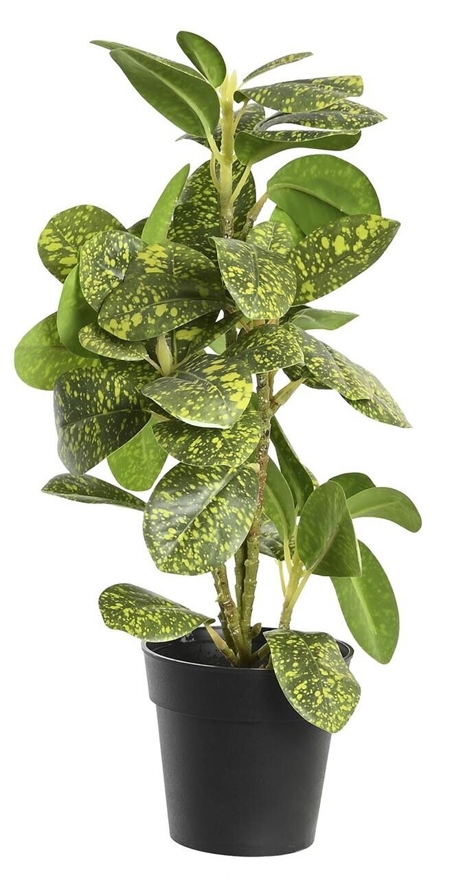 PLANTA FICUS ARTIFICIAL