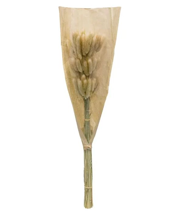 FLOR LANGURUS BEIGE