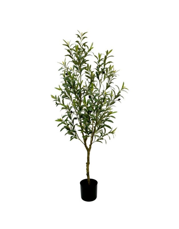 PLANTA OLIVO 153CM