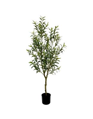 PLANTA OLIVO 153CM