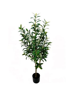 PLANTA OLIVO 120CM