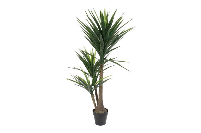 PALMERA YUCA VERDE 150CM