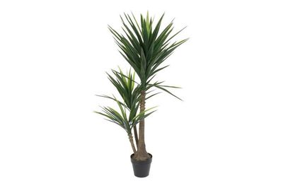PALMERA YUCA VERDE 150CM