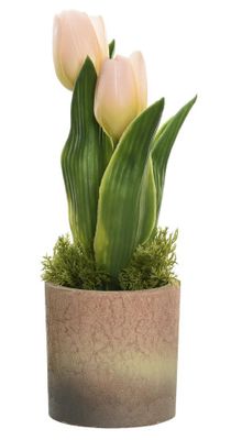 MACETA TULIPÁN AMARILLO CLARO