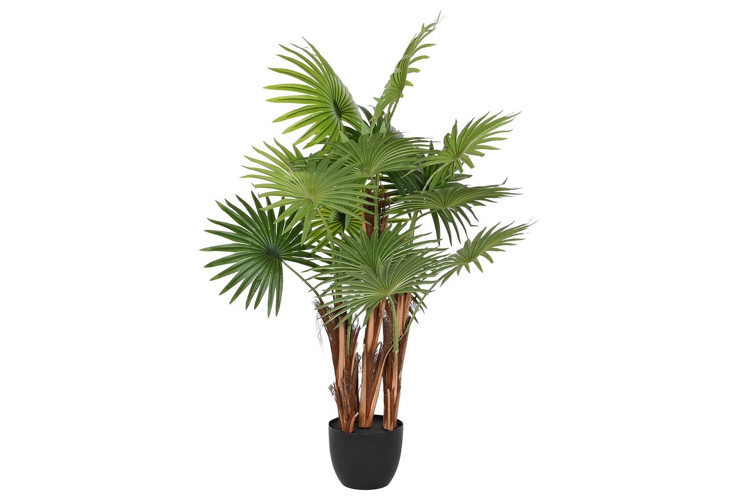 PALMERA 120CM