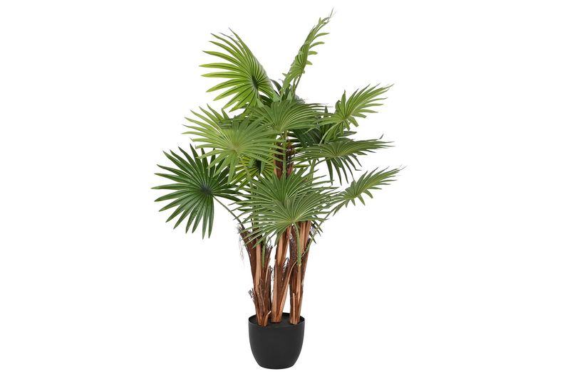 PALMERA 120CM