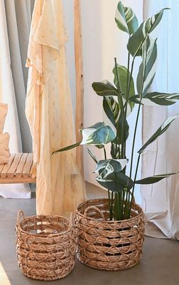 PLANTAS ARTIFICIALES
