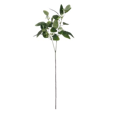 RAMA EUCALIPTO