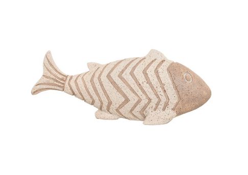 FIGURA PEZ DESGASTADO