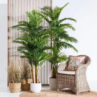 PLANTAS Y RAMOS SECOS