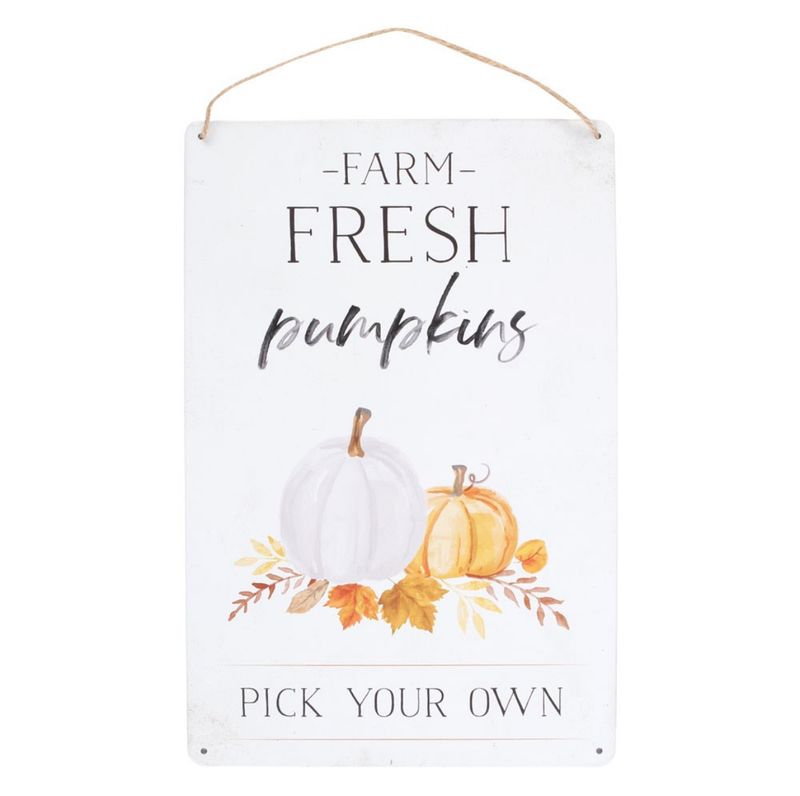 CARTEL CHAPA FARM FRESH PUMPKINS