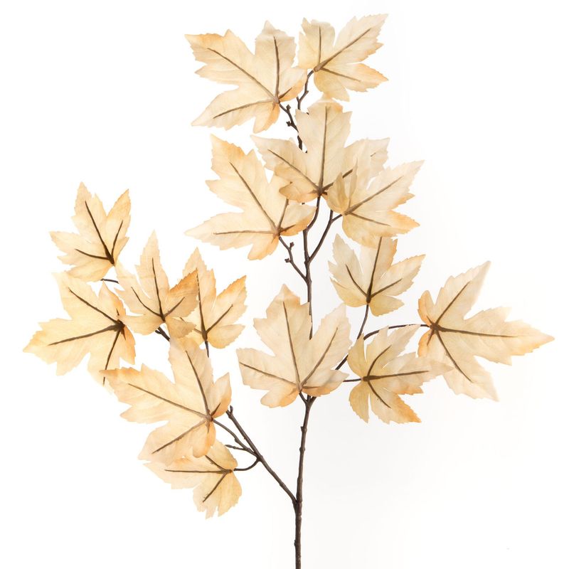 VARA HOJAS OTOÑO