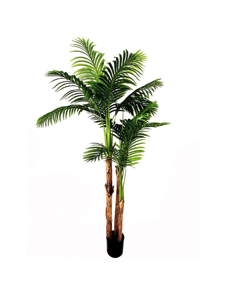 PLANTA PALMERA REAL TOUCH