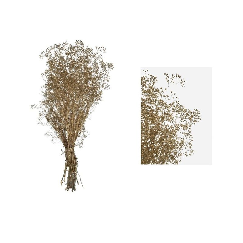 RAMO PRESERVADO GYPSOPHILIA