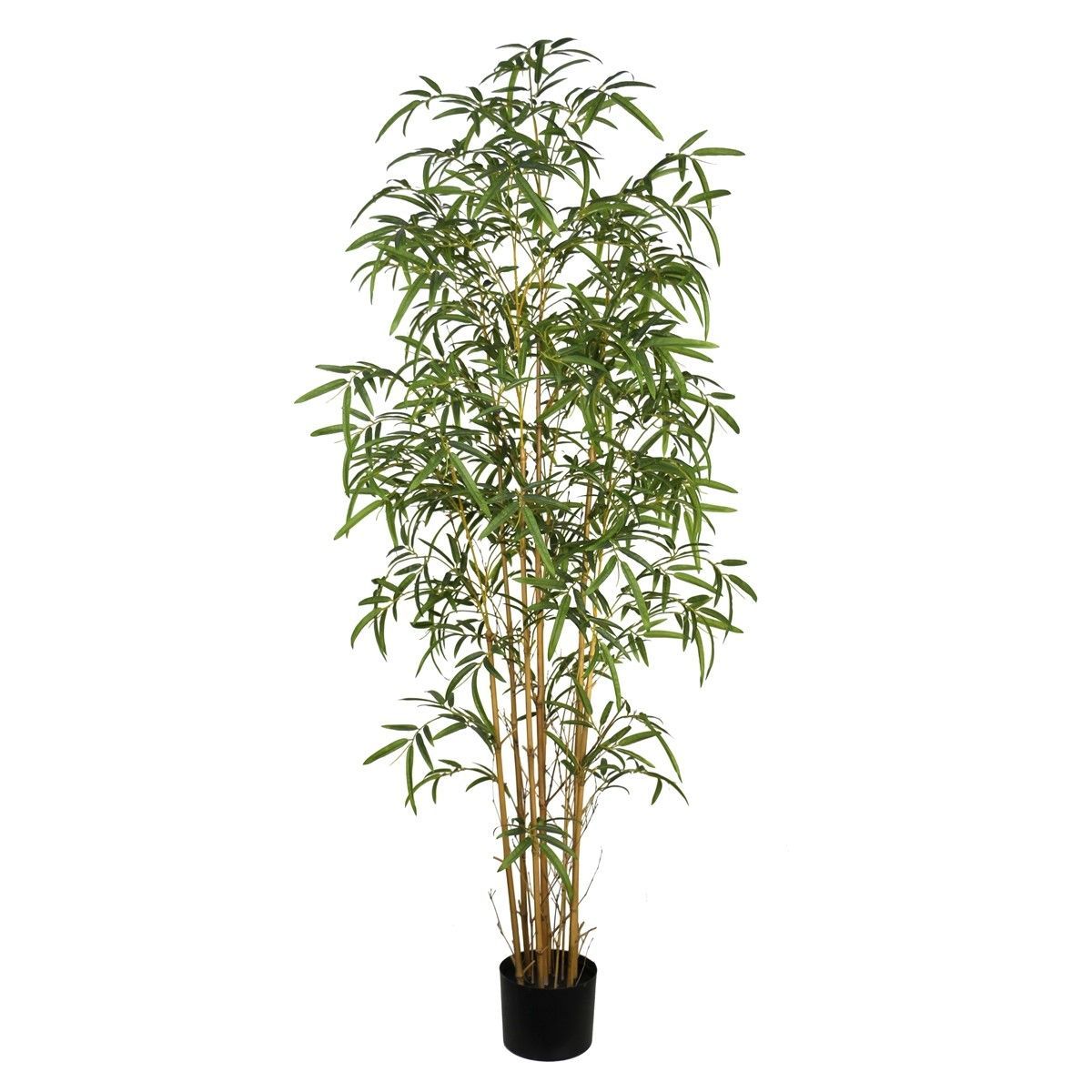 PLANTA BAMBU 200CM