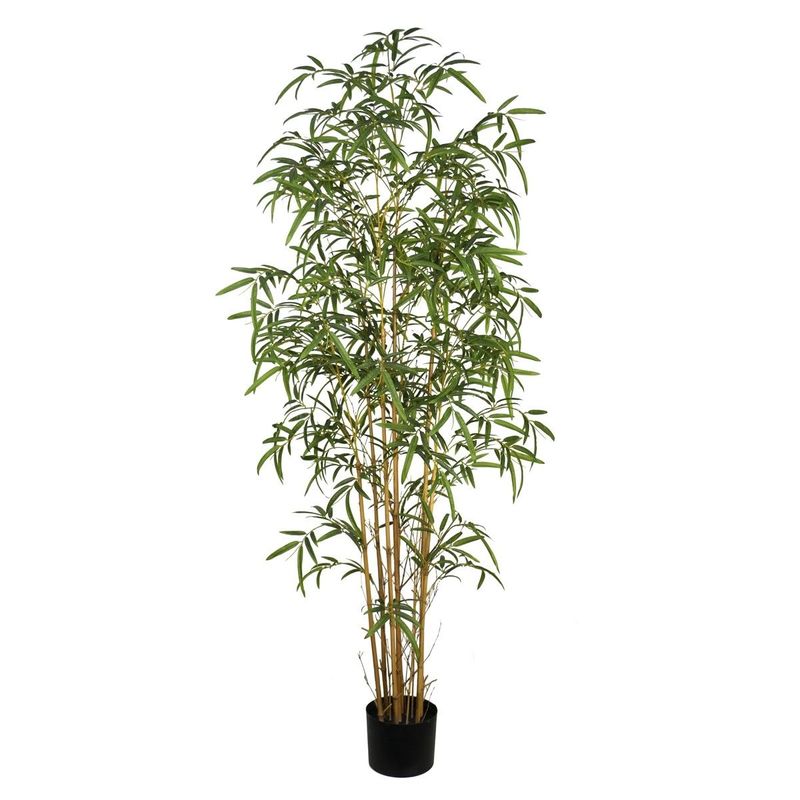 PLANTA BAMBU 200CM