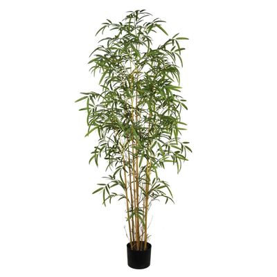 PLANTA BAMBU 200CM PLANTA BAMBU 200CM