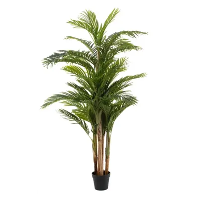 PALMERA ARECA 190CM