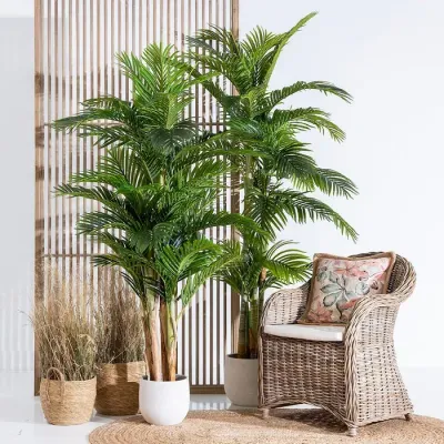 PLANTAS Y RAMOS SECOS