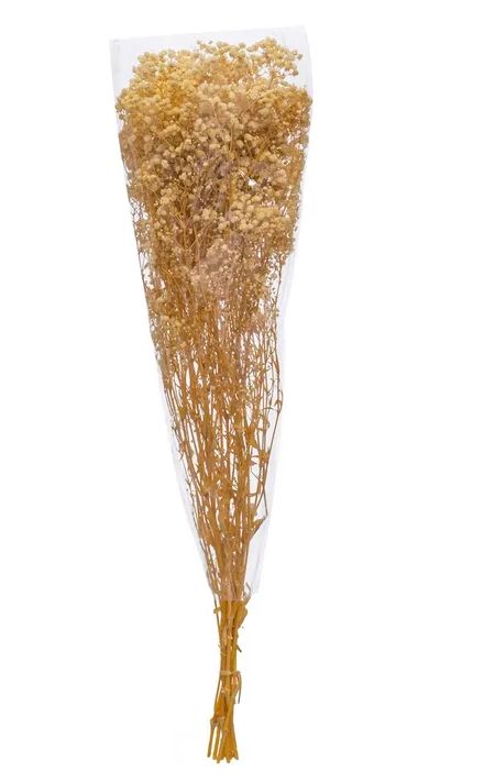 FLOR PANICULATA NATURAL