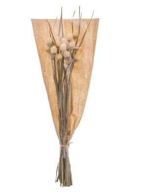 RAMO SECO FLOR CABEZA MONJE NATURAL