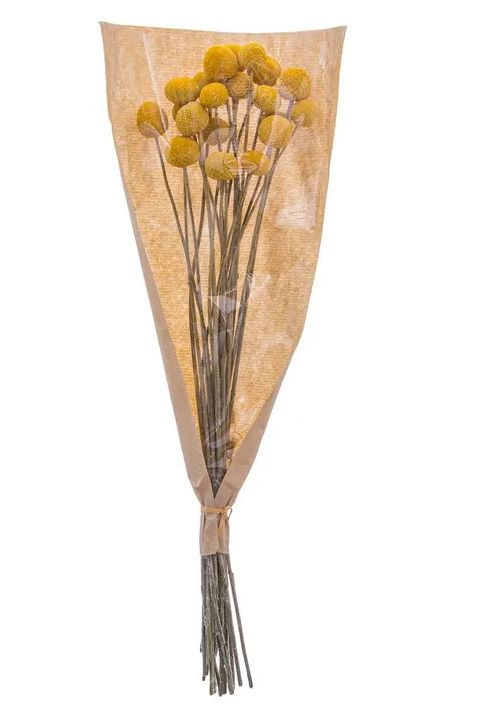 RAMO SECO FLOR CABEZA MONJE AMARILLO