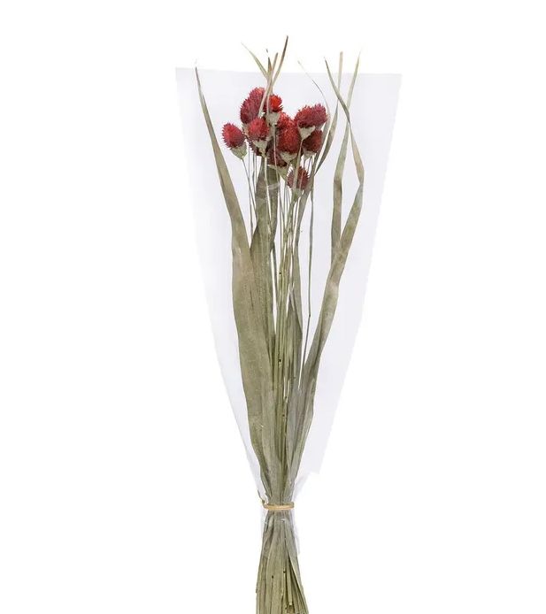 RAMO SECO FLOR CABEZA MONJE ROJO