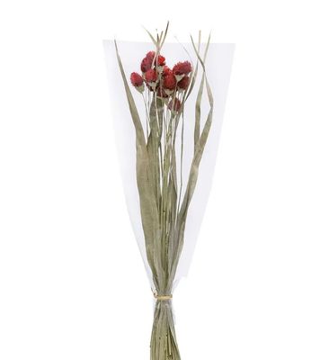 RAMO SECO FLOR CABEZA MONJE ROJO RAMO SECO FLOR CABEZA MONJE ROJO