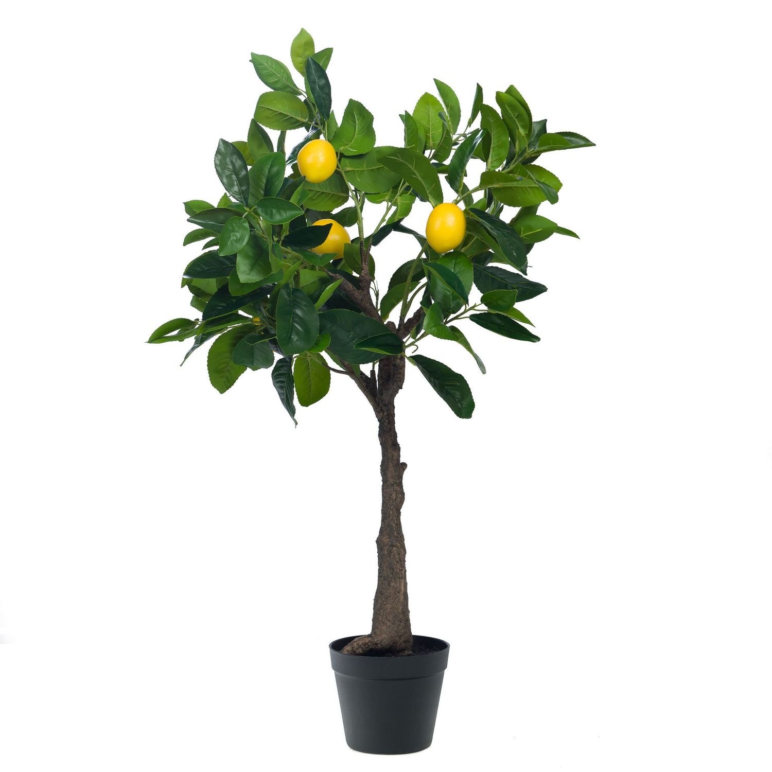 PLANTA ARTIFICIAL LIMONERO