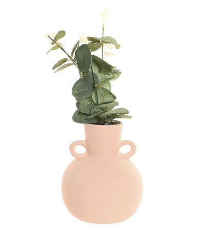 PLANTA CERAMICA EUCALIPTO CREMA