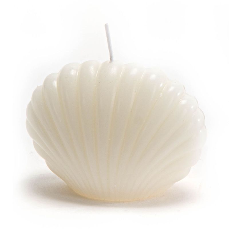 VELA COQUILLAGE CREME