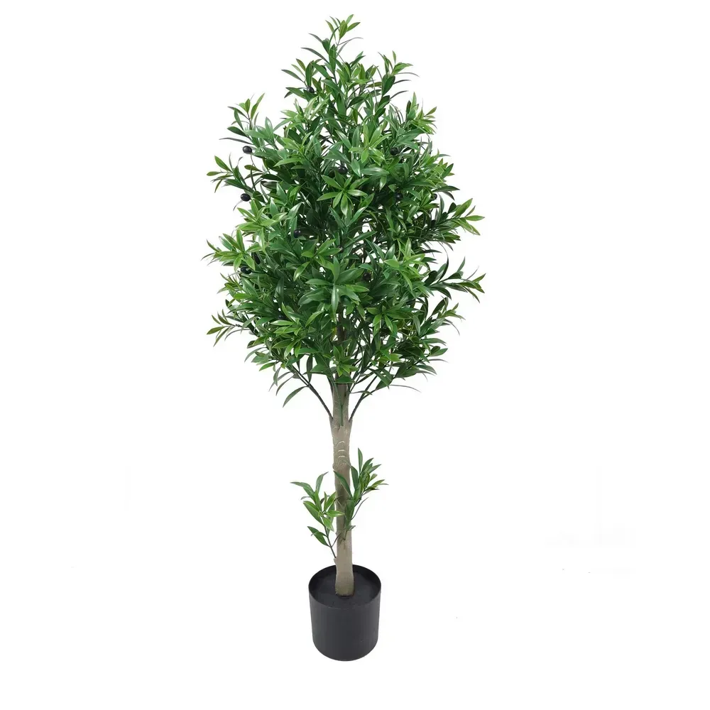 OLIVO EXTERIOR 120CM