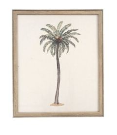CUADRO PALMERA