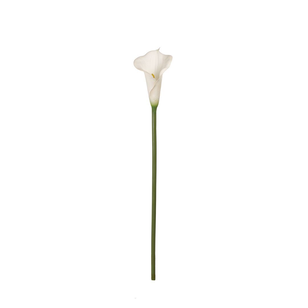 VARA CALA BLANCA