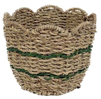 CESTA BICOLOR
