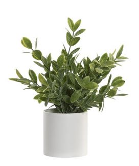 PLANTA CON MACETERO BLANCO 1