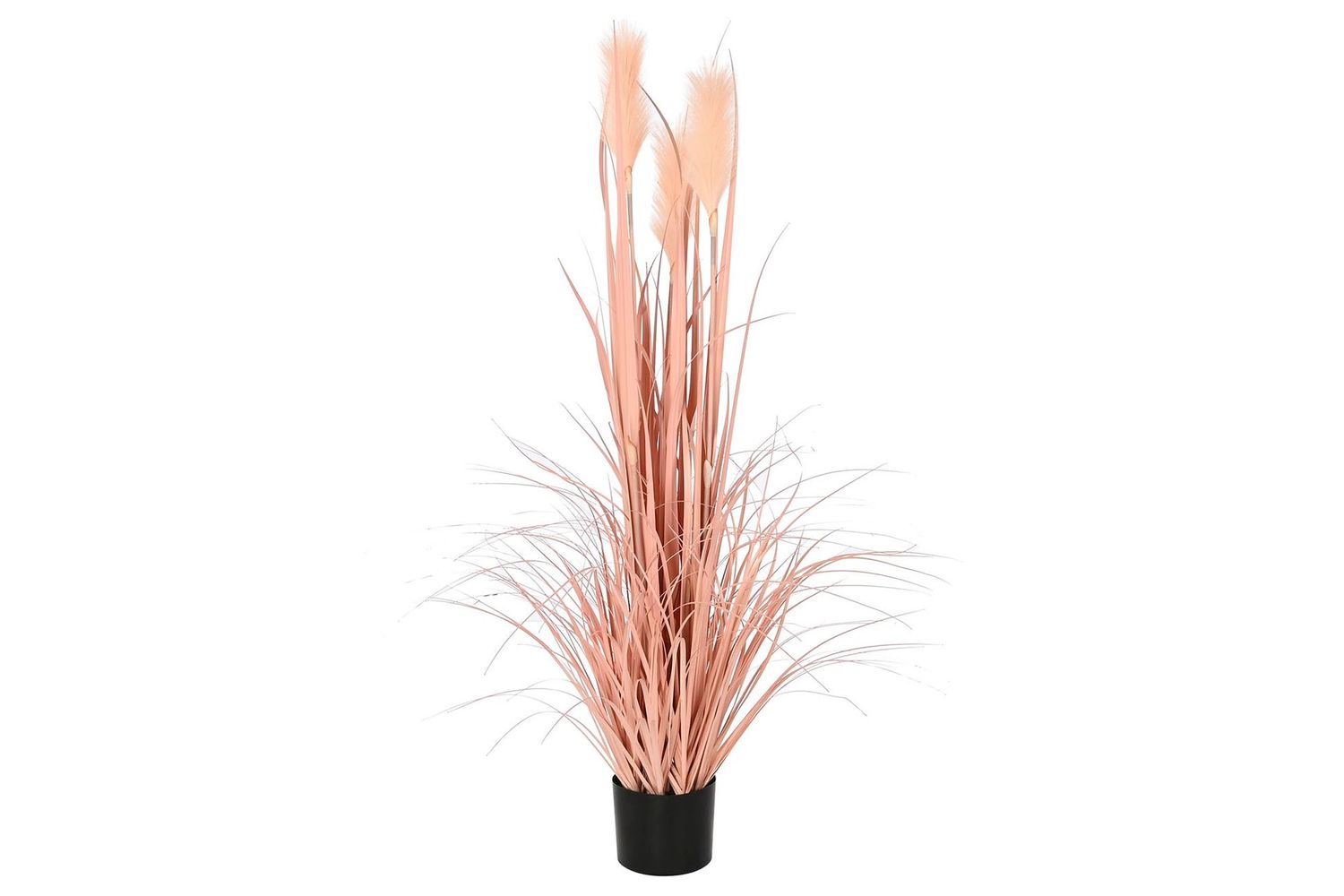 PLANTA PE PVC PLUMERO CORAL