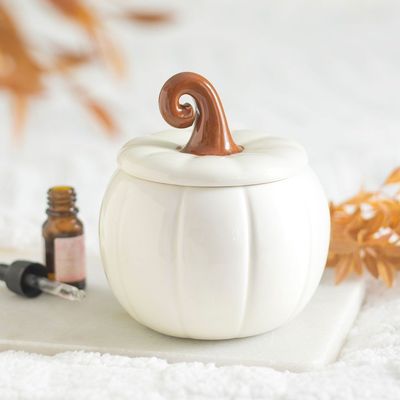 QUEMADOR CALABAZA BLANCA RABO RIZADO