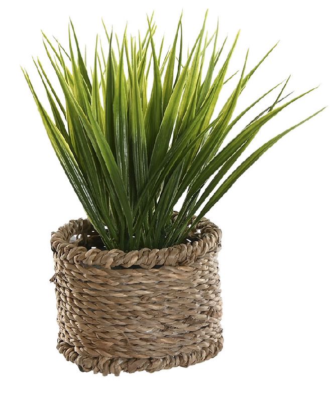 PLANTITA CESTO FIBRA