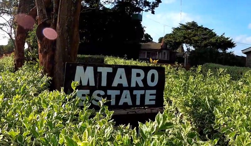 MTARO