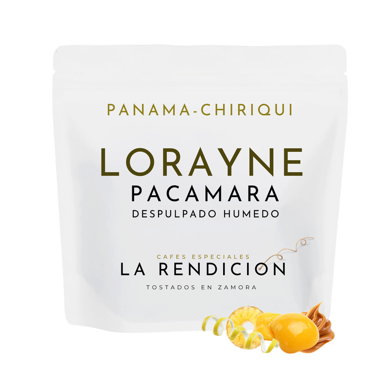 LORAYNE (PACAMARA)