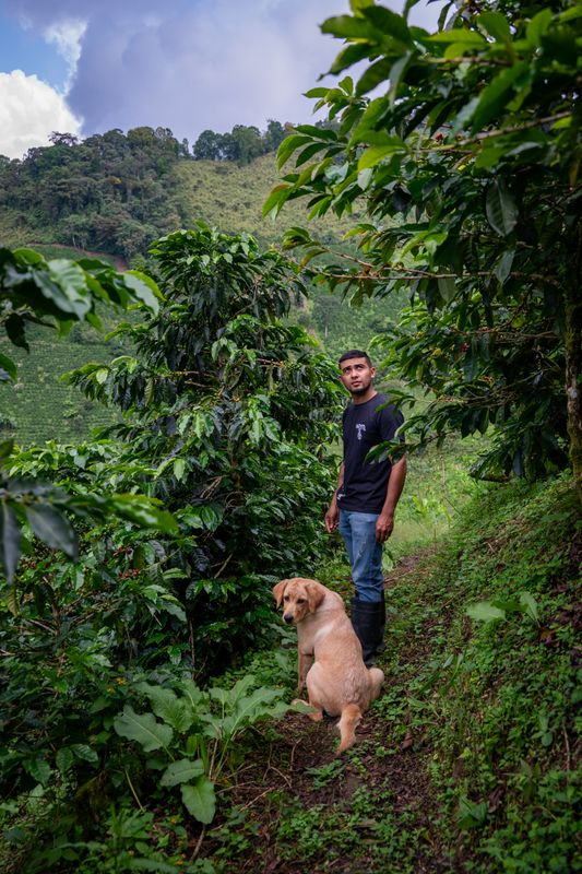 LA MANOA GEISHA