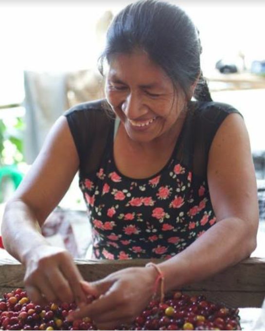 LA MANOA GEISHA