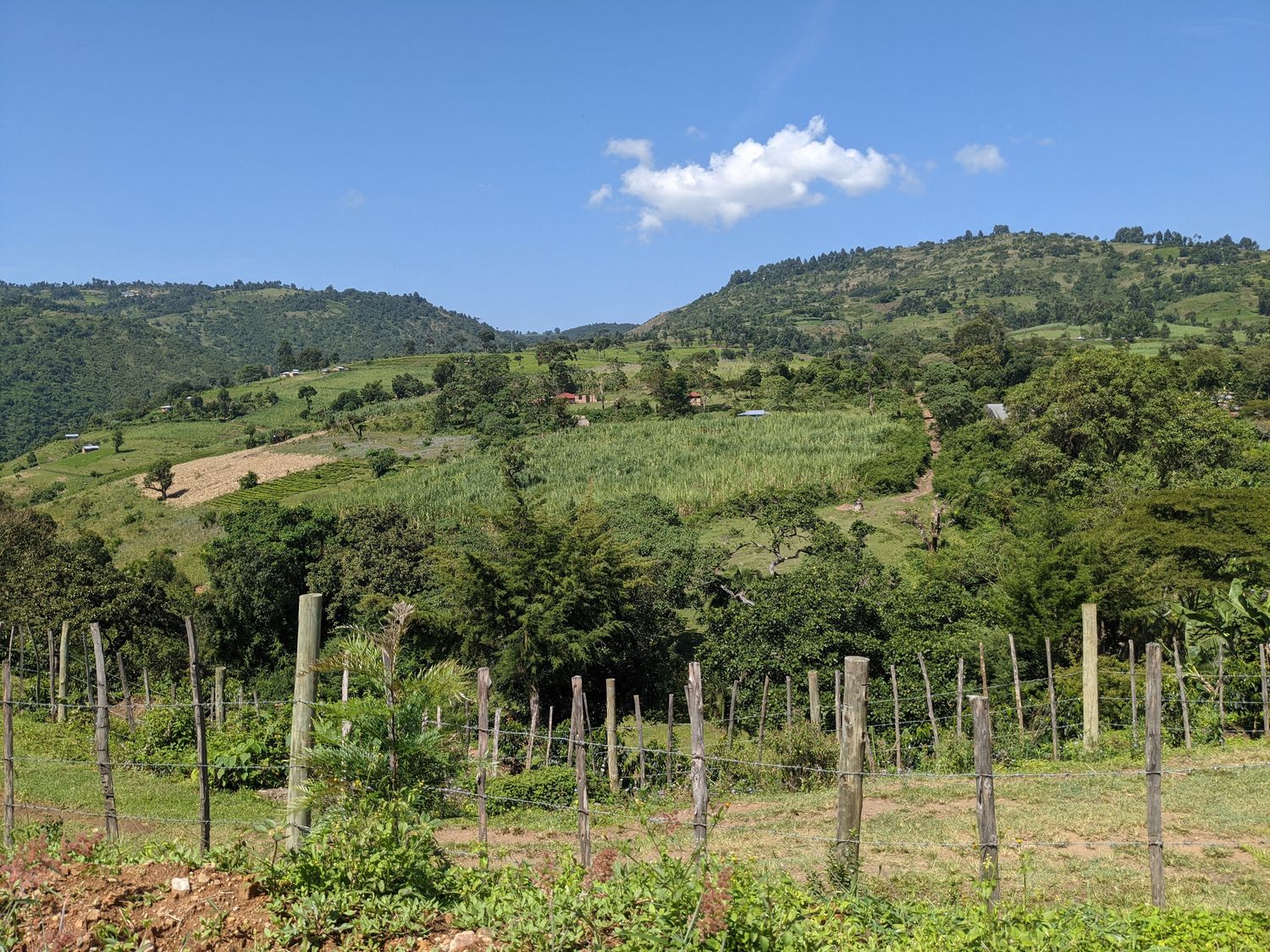 NAINYOIRE