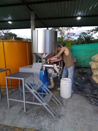 GEISHA GINGER (COFERMENTADO)