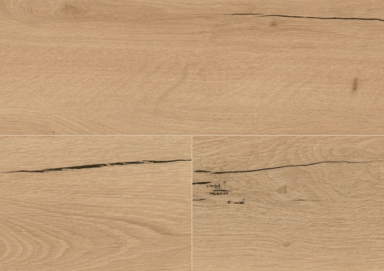Wineo 1200 wood XL announcing fritz PL271R