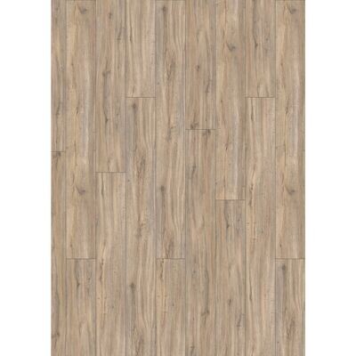 Disano Red Line Multi-Layer eiche lebhaft creme Disano Red Line Multi-Layer eiche lebhaft creme